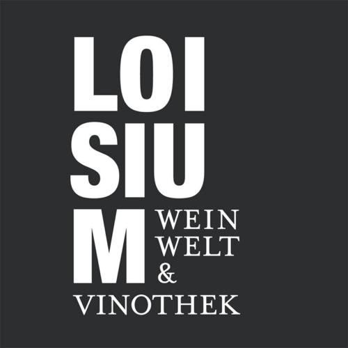 Die-Internette---Referenzen---Loisium-Weinwelt
